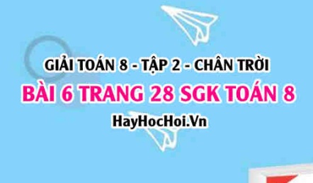 Bài 6 trang 28 Toán 8 Tập 2 Chân trời sáng tạo